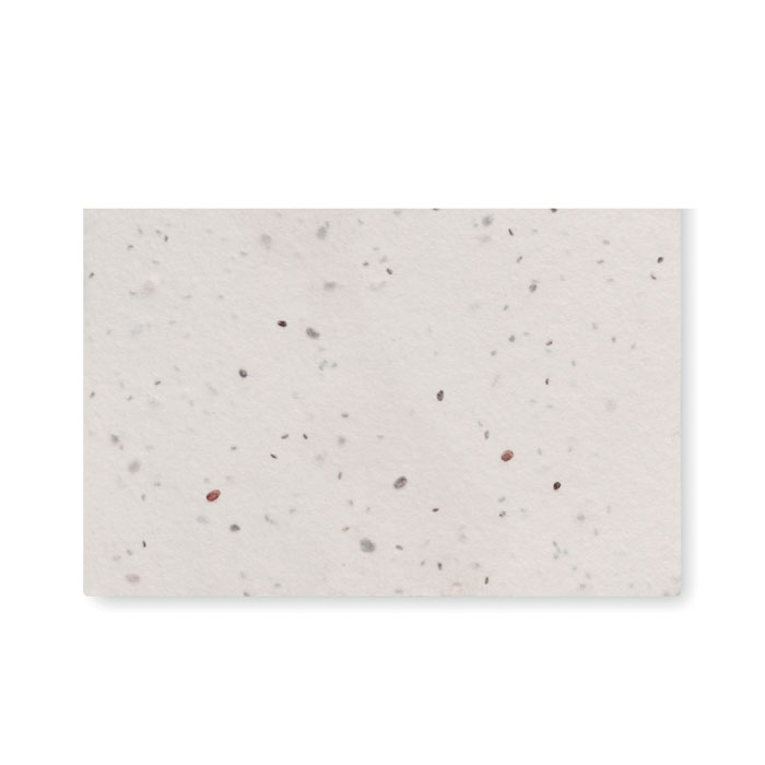 ASIDA - Visitekaartje van wilde bloemenzad