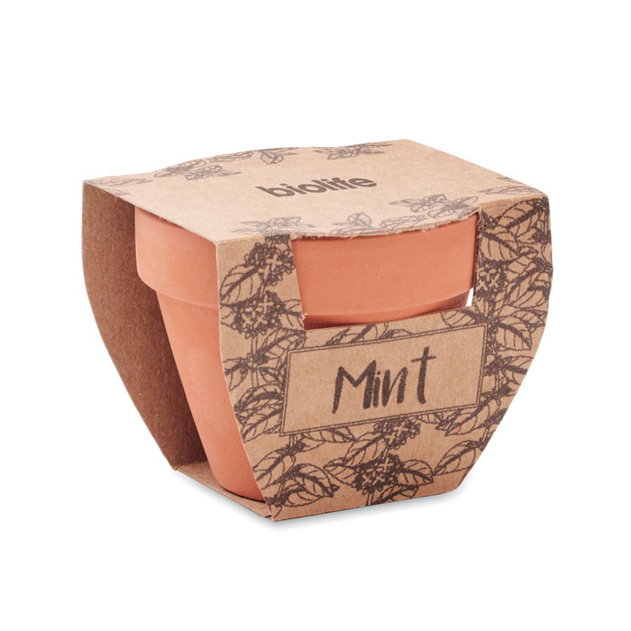 MINT POT - Potje munt