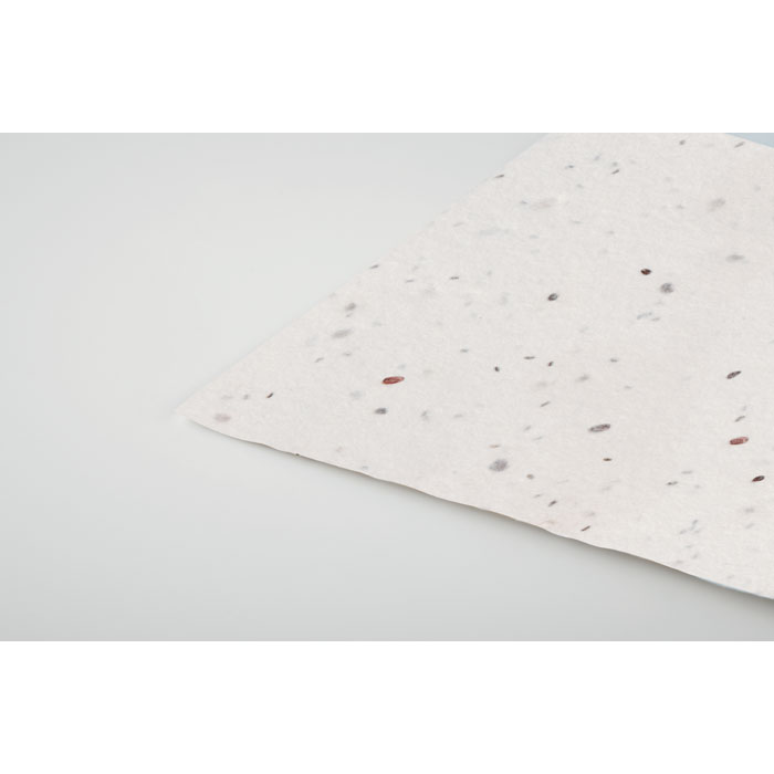 ASIDA - Visitekaartje van wilde bloemenzad