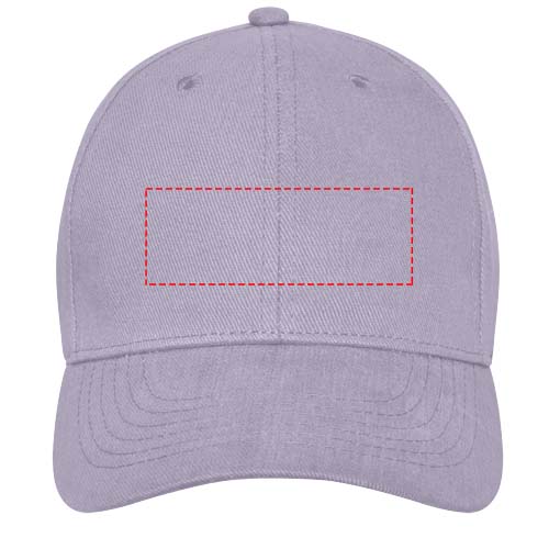 Davis 6 panel cap