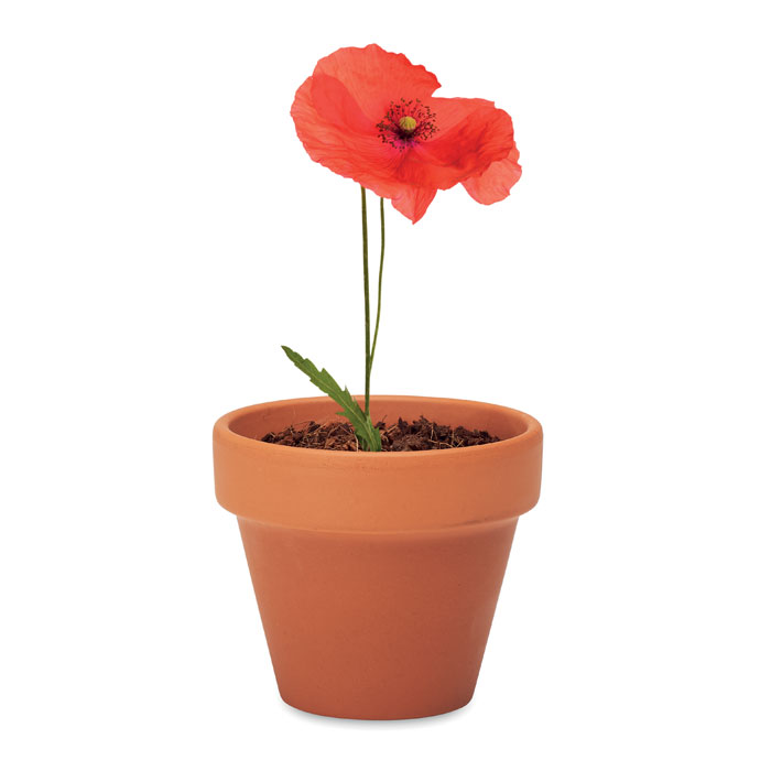 RED POPPY - Potje Klaproos