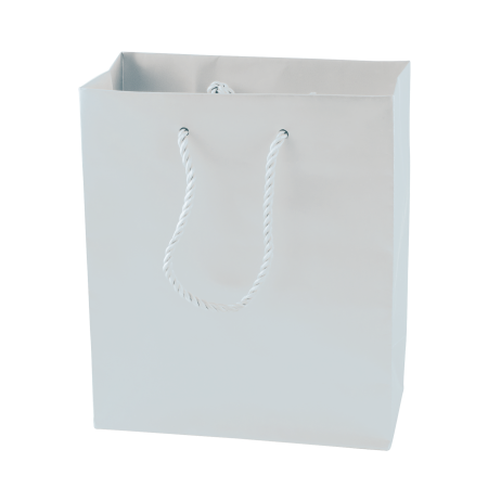 Glanzend papieren tas, 270x370x120 mm